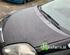 Bonnet FIAT GRANDE PUNTO (199_), FIAT PUNTO (199_), FIAT PUNTO EVO (199_), ABARTH PUNTO (199_)