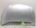 Motorhaube Opel Corsa E Van X15 39035277 P20532628