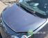 Bonnet RENAULT TWINGO II (CN0_)