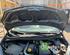 Bonnet RENAULT TWINGO II (CN0_)