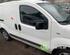 Door FIAT FIORINO Box Body/MPV (225_), FIAT QUBO (225_), FIAT FIORINO MPV (225_)