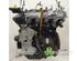 Motor kaal RENAULT CLIO III (BR0/1, CR0/1)