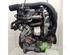 Motor kaal RENAULT CLIO III (BR0/1, CR0/1)