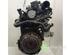 Motor kaal RENAULT CLIO III (BR0/1, CR0/1)