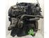 Motor kaal RENAULT CLIO III (BR0/1, CR0/1)