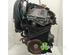 Motor kaal RENAULT CLIO III (BR0/1, CR0/1)