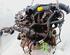 Motor kaal RENAULT CLIO III (BR0/1, CR0/1), RENAULT CLIO IV (BH_)