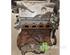 Motor kaal RENAULT CLIO III (BR0/1, CR0/1)