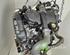 Motor kaal RENAULT CLIO III (BR0/1, CR0/1), RENAULT CLIO IV (BH_)