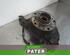 Stub Axle RENAULT VEL SATIS (BJ0_)