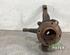 Stub Axle RENAULT KANGOO Express (FW0/1_), RENAULT KANGOO / GRAND KANGOO (KW0/1_)