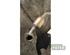 Catalytic Converter PEUGEOT 108