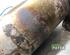 Catalytic Converter NISSAN QASHQAI II SUV (J11, J11_)