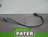 Lambda Sensor / NOx Sensor FORD C-MAX (DM2), FORD FOCUS C-MAX (DM2)