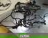 Wiring Harness RENAULT CLIO IV Grandtour (KH_), RENAULT CLIO III Grandtour (KR0/1_)