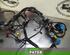 Wiring Harness RENAULT CLIO IV Grandtour (KH_), RENAULT CLIO III Grandtour (KR0/1_)