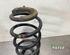 Coil Spring RENAULT CLIO III Grandtour (KR0/1_), RENAULT CLIO IV Grandtour (KH_)