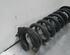 Coil Spring BMW 4 Coupe (F32, F82)