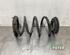 Coil Spring TESLA MODEL 3 (5YJ3)