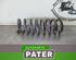 Coil Spring MERCEDES-BENZ C-CLASS T-Model (S204), MERCEDES-BENZ C-CLASS (W204)