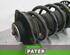 Suspension Strut AUDI A3 (8P1), AUDI A3 Sportback (8PA)