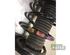 Suspension Strut FORD FOCUS III Turnier