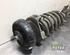 Suspension Strut RENAULT TRAFIC II Van (FL)