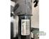 Suspension Strut FORD FOCUS IV Turnier (HP)