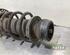 Suspension Strut SKODA FABIA II Combi (545), SKODA ROOMSTER Praktik (5J)