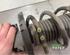 Suspension Strut SKODA FABIA II Combi (545), SKODA ROOMSTER Praktik (5J)