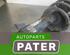 Suspension Strut MAZDA 5 (CR19)