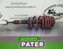 Suspension Strut VW PASSAT Variant (3B5)