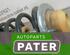 Federbein rechts vorne VW Passat 5.5 Variant 3B6  P4372286