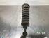 Shock Absorber NISSAN PATHFINDER III (R51)