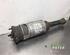 Shock Absorber LAND ROVER RANGE ROVER SPORT (L320)