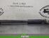 Shock Absorber FORD FIESTA VI (CB1, CCN)