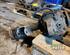 Transfer Case NISSAN TERRANO II (R20)