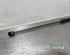 Gas Spring AUDI Q3 Sportback (F3N)