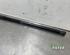 Gas Spring AUDI Q3 Sportback (F3N)