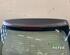 Boot (Trunk) Lid RENAULT KOLEOS I (HY_)