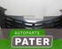 Radiator Grille CHRYSLER PT CRUISER (PT_)