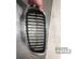 Radiateurgrille BMW 3 Coupe (E92), BMW 3 Touring (E91)