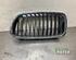 Radiator Grille BMW 3 Touring (F31), BMW 3 Touring Van (F31), BMW 3 Touring Van (G21)