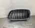 Radiator Grille BMW 3 Touring (F31), BMW 3 Touring Van (F31), BMW 3 Touring Van (G21)