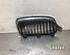 Radiator Grille BMW 3 Touring (F31), BMW 3 Touring Van (F31), BMW 3 Touring Van (G21)