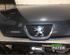 Bonnet PEUGEOT 107 (PM_, PN_)