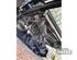 Door AUDI A4 Avant (8ED, B7), AUDI A4 Avant (8E5, B6)