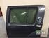 Door NISSAN PATHFINDER III (R51)