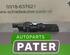 Door Check Strap RENAULT VEL SATIS (BJ0_)