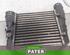 Intercooler AUDI A4 (8EC, B7)